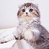 お客様17